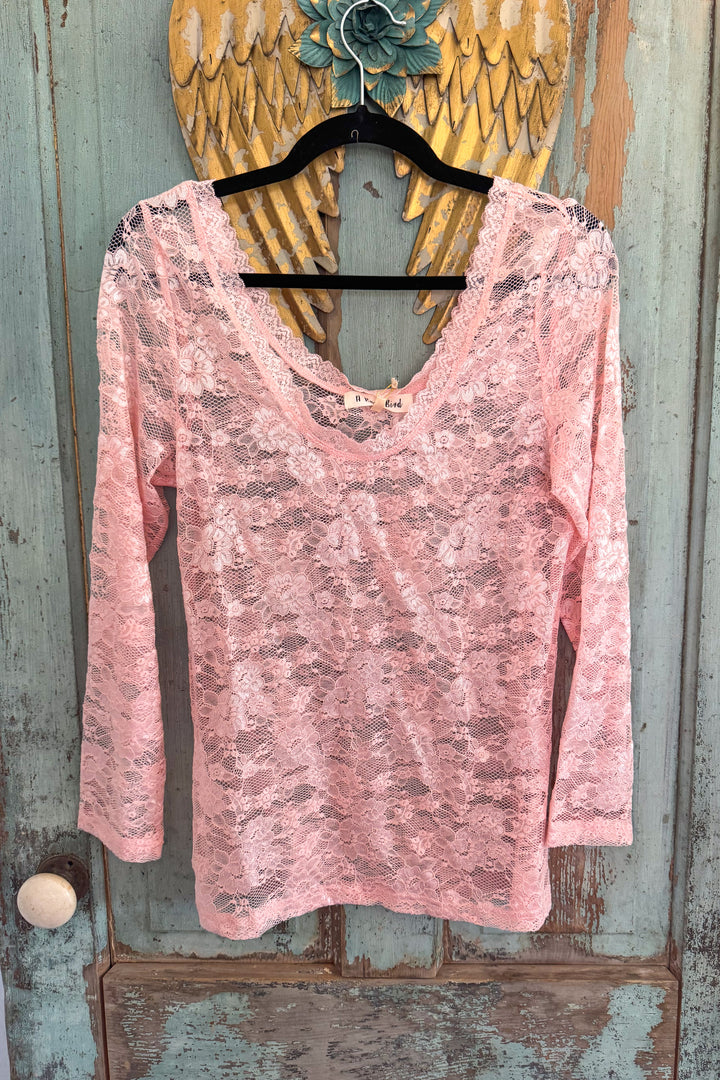 Pink Lace Mesh