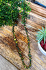 On The Town Long Necklace - Olive
