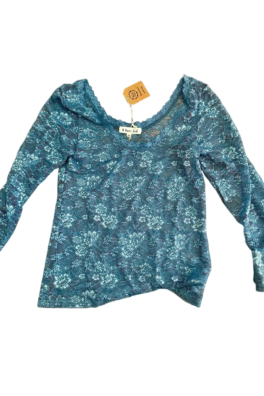 PRE ORDER: Blue Lace Mesh