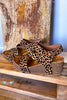 Staying Up Late Wedges - Leopard